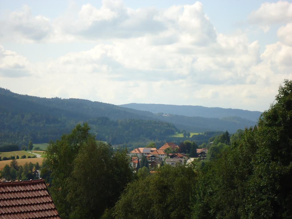 Ferienwohnung Bodenmais Am Silberberg エクステリア 写真